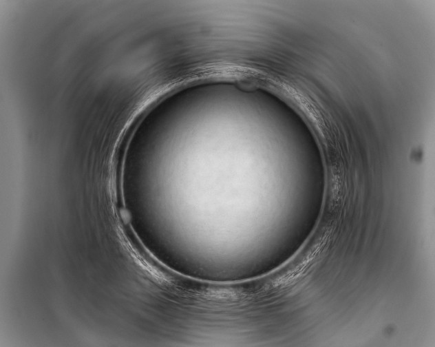 X0000100960843200807011330
