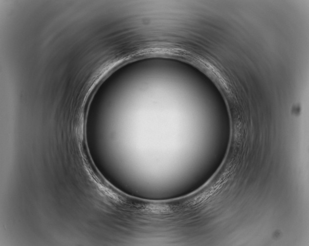 X0000100960844200807011330