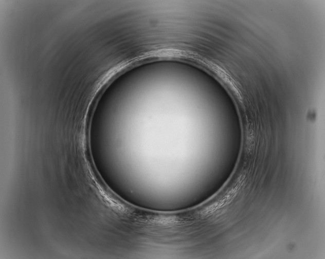 X0000100960845200807011330