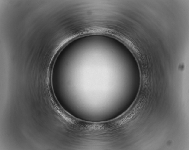 X0000100960846200807011330