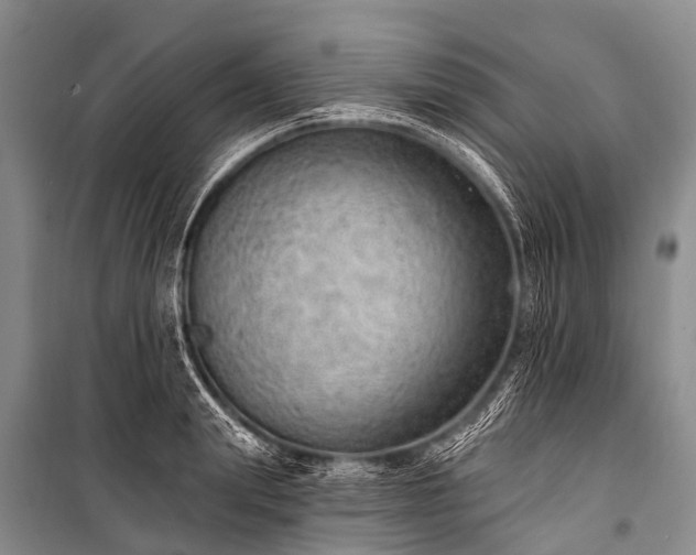 X0000100960847200807011330