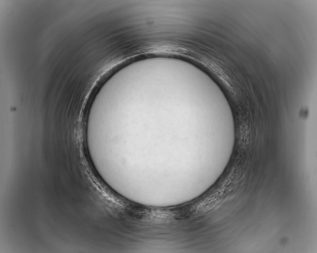 X0000100960848200807011331