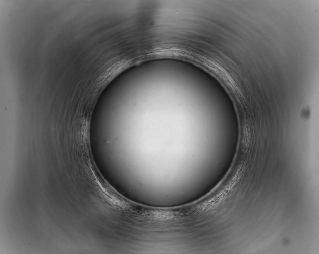 X0000100960849200807011331