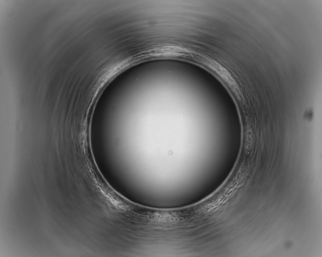 X0000100960850200807011331