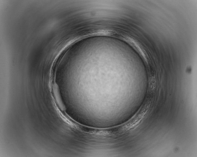 X0000100960851200807011331