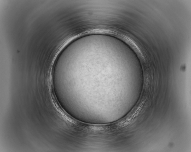 X0000100960852200807011331
