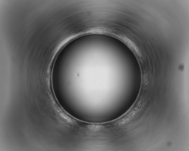X0000100960854200807011331