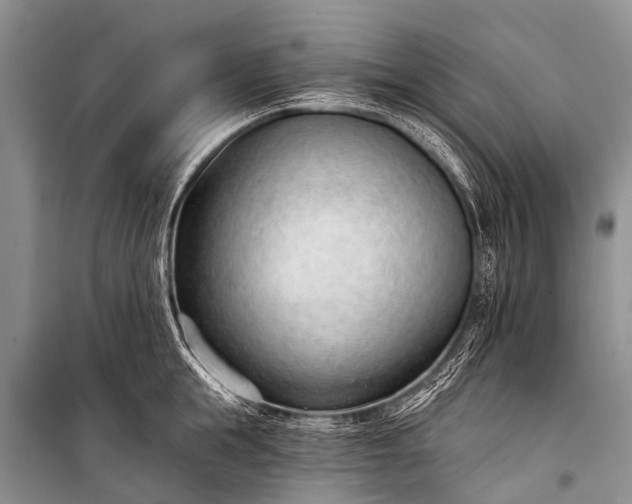X0000100960855200807011331