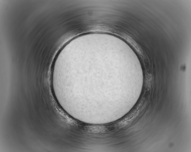 X0000100960856200807011331