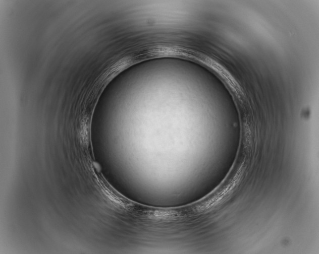 X0000100960857200807011331