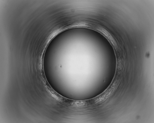 X0000100960858200807011331