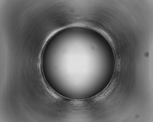 X0000100960862200807011331