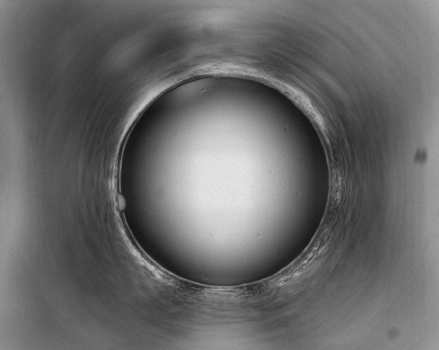 X0000100960863200807011331
