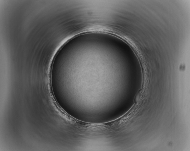 X0000100960864200807011331