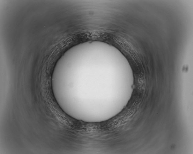 X0000100960865200807011330