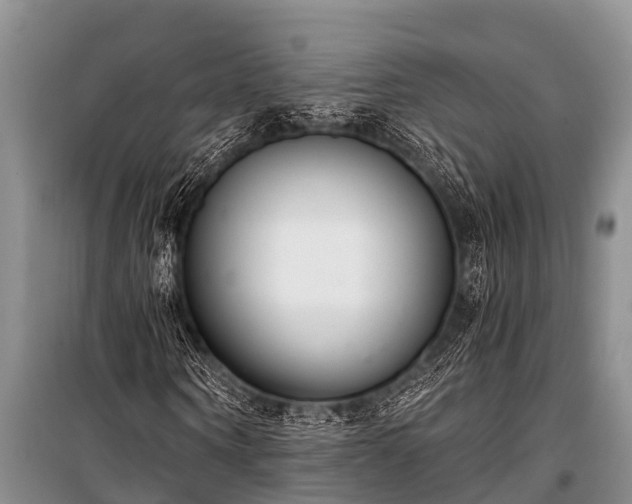 X0000100960866200807011330