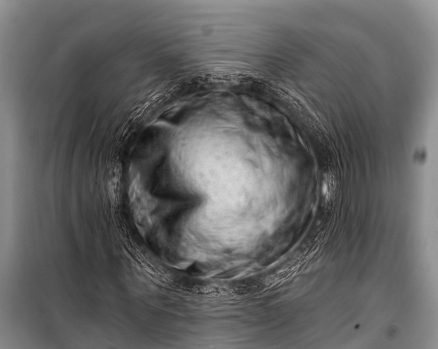 X0000100960867200807011330