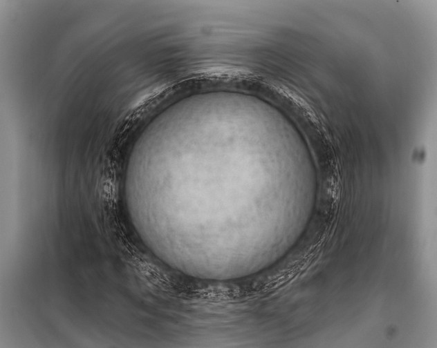 X0000100960869200807011330