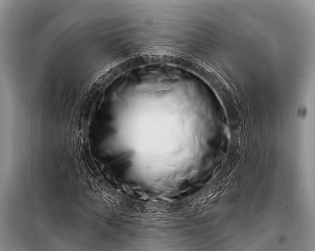 X0000100960870200807011330