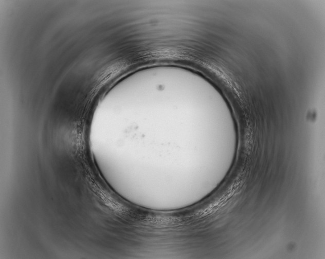 X0000100960873200807011330