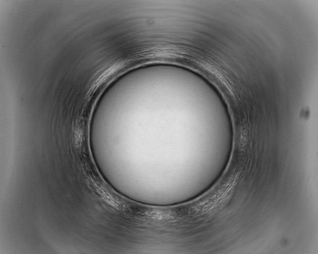 X0000100960874200807011330