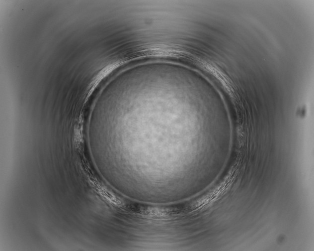 X0000100960875200807011330