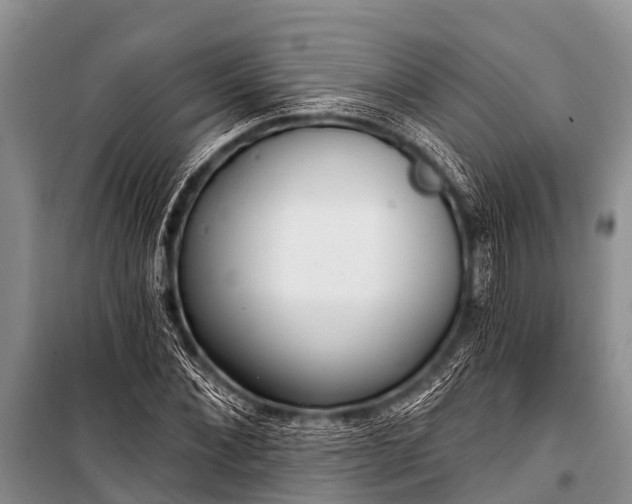 X0000100960876200807011330