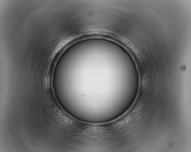 X0000100960877200807011330