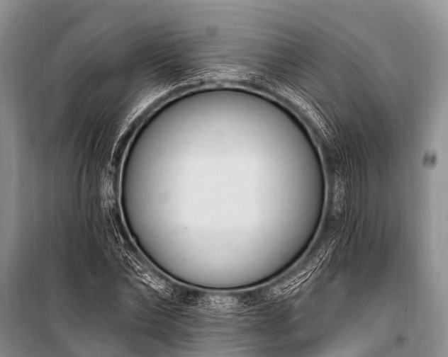 X0000100960878200807011330