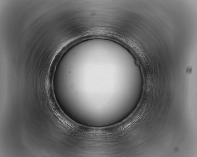 X0000100960880200807011330