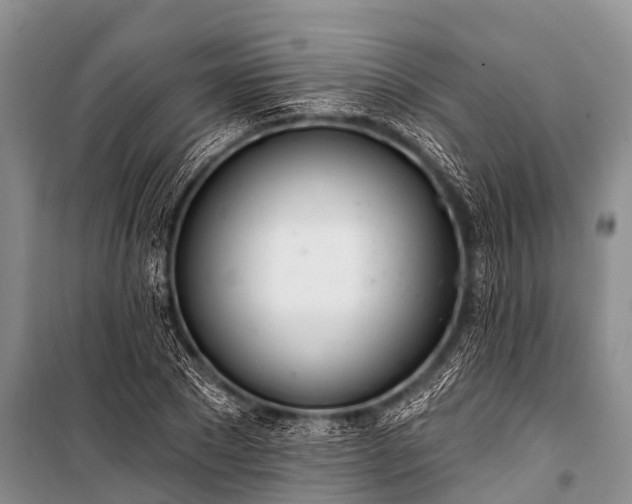 X0000100960881200807011330