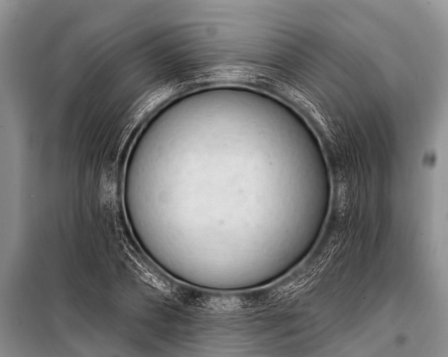 X0000100960882200807011330