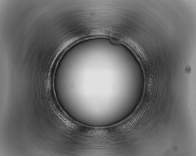X0000100960884200807011330