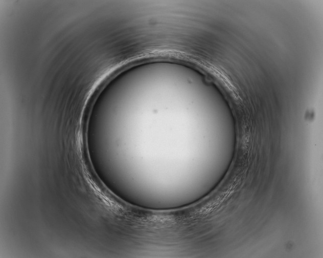 X0000100960888200807011329