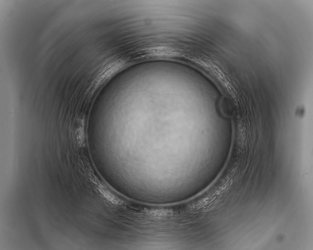 X0000100960889200807011329