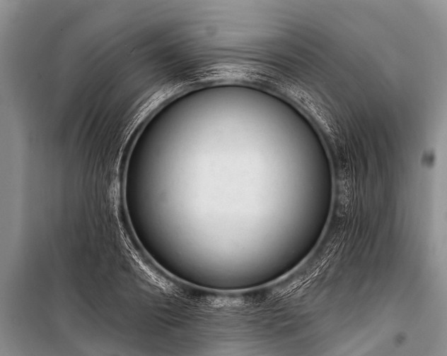 X0000100960890200807011329