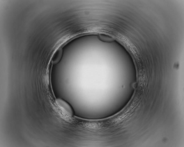 X0000100960892200807011329