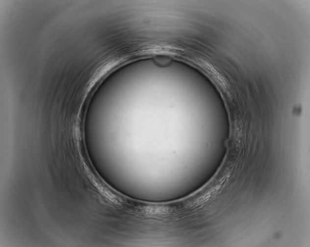 X0000100960893200807011329