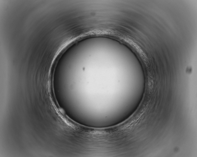 X0000100960894200807011329