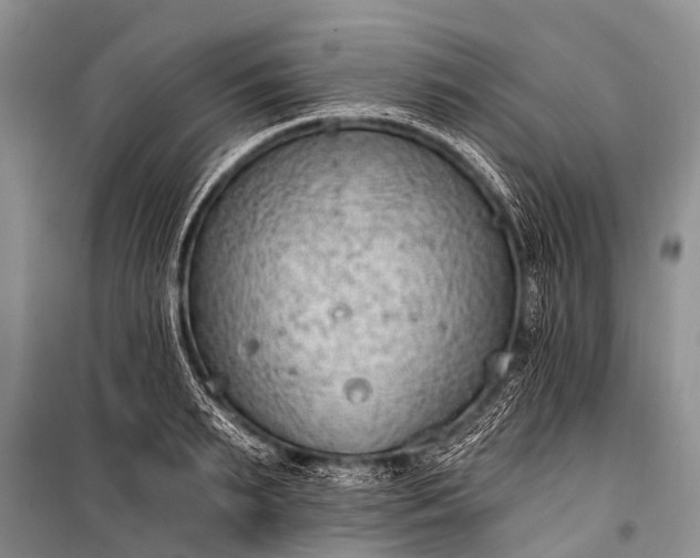 X0000100960895200807011329