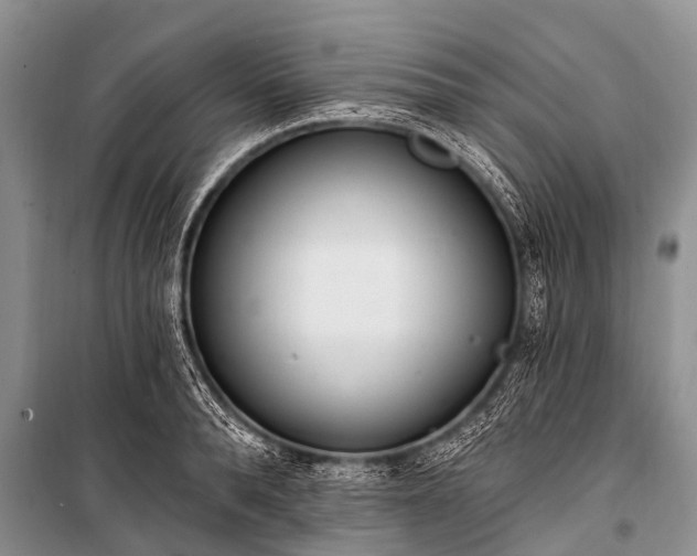 X0000100960896200807011329