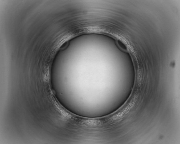 X0000100960897200807011329