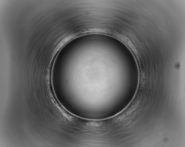 X0000100960898200807011329