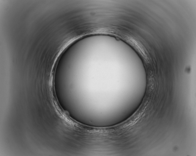 X0000100960900200807011329
