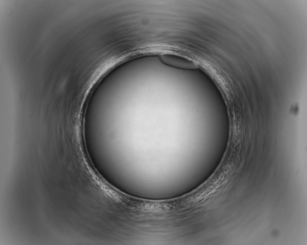 X0000100960901200807011329