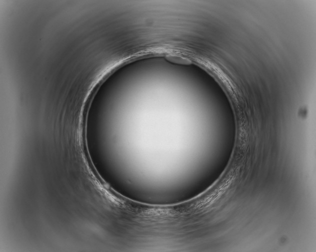 X0000100960902200807011329
