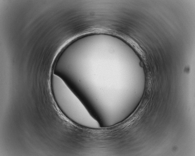 X0000100960904200807011329