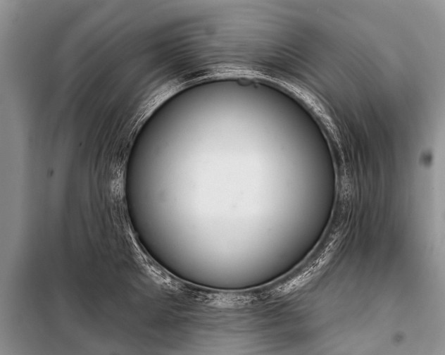 X0000100960905200807011329