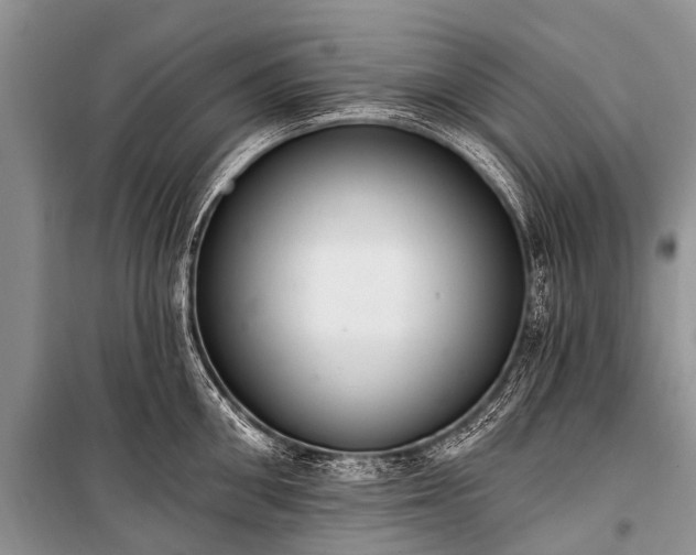 X0000100960906200807011329