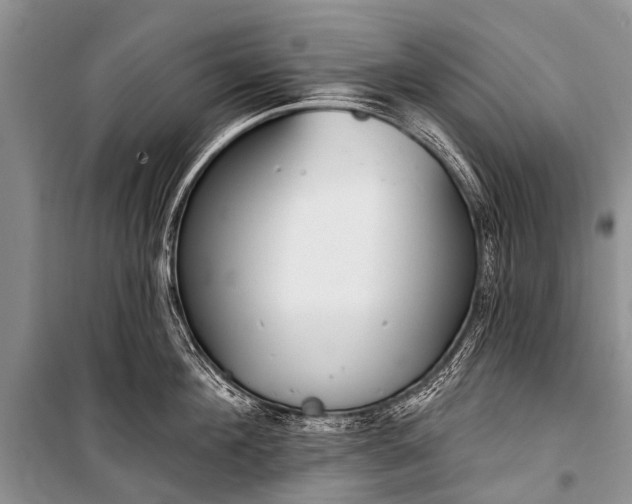 X0000100960908200807011329